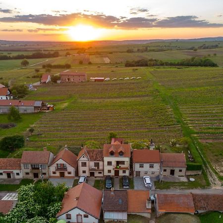 Vinný Sklep Monty Velké Bílovice Velke Bilovice Exterior foto